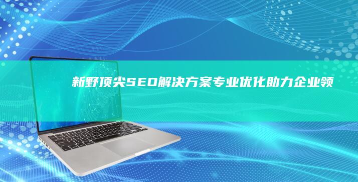 新野顶尖SEO解决方案：专业优化助力企业领先成长